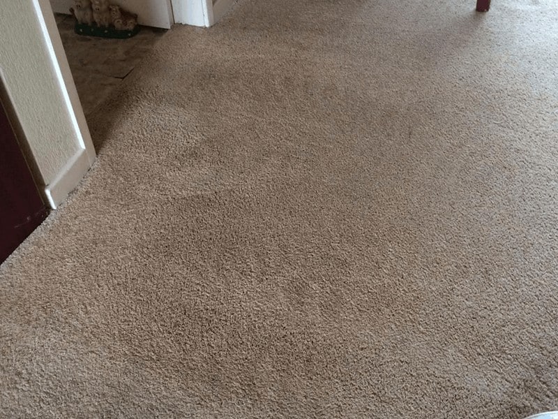 Carpet-Cleaning-Rotherham-After