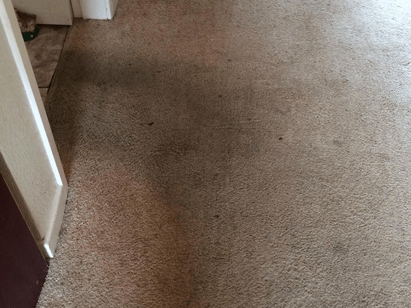 Carpet-Cleaning-Rotherham-Before